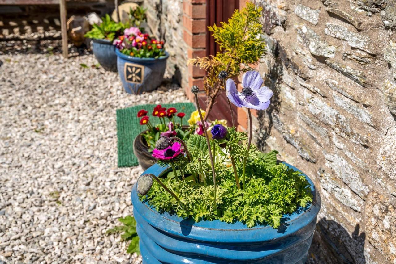 Polrunny Farm Blackberry Cottage - Cornwall Bliss In Sight Of The Sea Boscastle Exterior foto